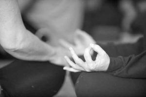 Find your Peace at Yoga Daily