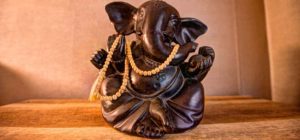 Yoga Daily Pricing, packages and memberships