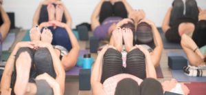 Yoga Daily yoga classes